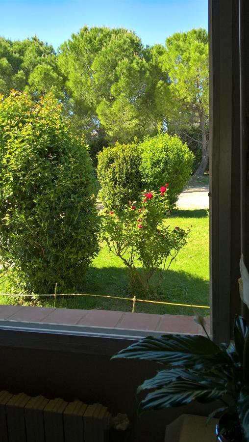 Chez Naomi Bed and Breakfast Saint-Jean-de-Cornies Buitenkant foto